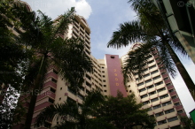 Blk 290D Bukit Batok East Avenue 3 (Bukit Batok), HDB 5 Rooms #333472